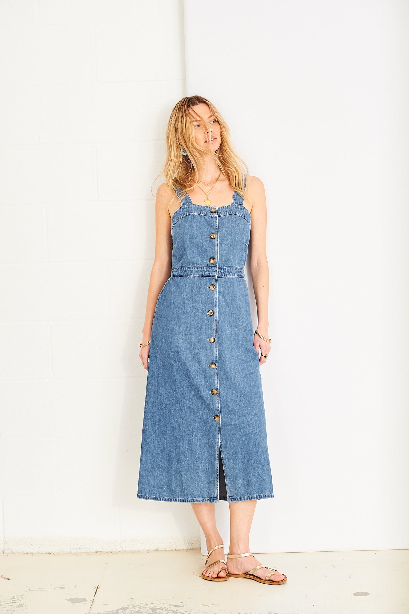 Phoebe denim button down 70s sleeveless dress